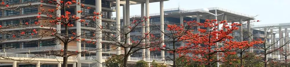 2019年廣東工業(yè)大學(xué)MBA招生簡(jiǎn)章