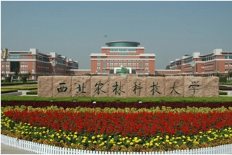 2022年西北農(nóng)林科技大學(xué)MPA學(xué)費(fèi)學(xué)制及招生人數(shù)一覽
