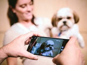 探索人工智能開發 49個常用API與基礎軟件開發指南